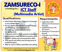 ICT Staff (Multimedia Artist)